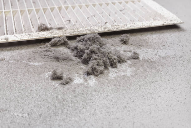 Best Air Vent Cleaning Services  in Brooklyn Park, MN