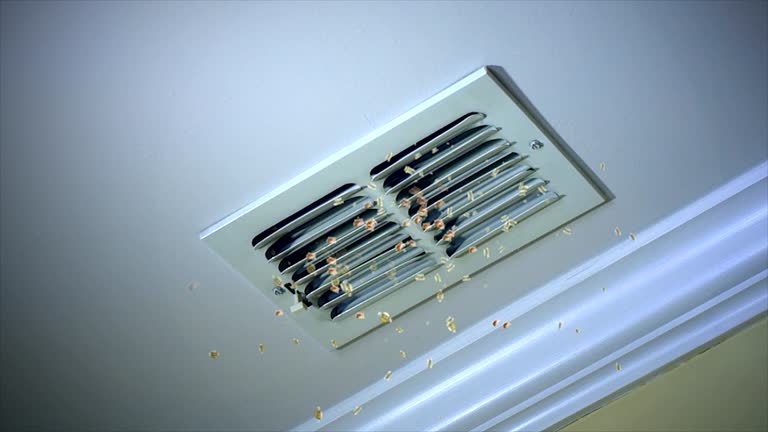 Best Affordable HVAC Duct Cleaning  in Brooklyn Park, MN